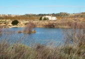 Non-developable land for sale in Fabara ref: TR396162 photo