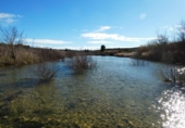 Non-developable land for sale in Fabara ref: TR396162 photo