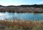 Non-developable land for sale in Fabara ref: TR396162 photo