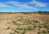 Non-developable land for sale in Fabara ref: TR396162 photo