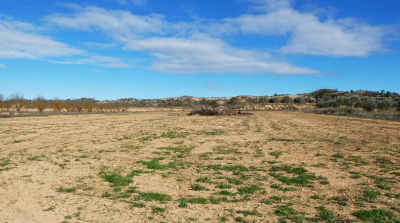 Zaragoza - Fabara - 7000m2
