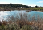 Non-developable land for sale in Fabara ref: TR396162 photo