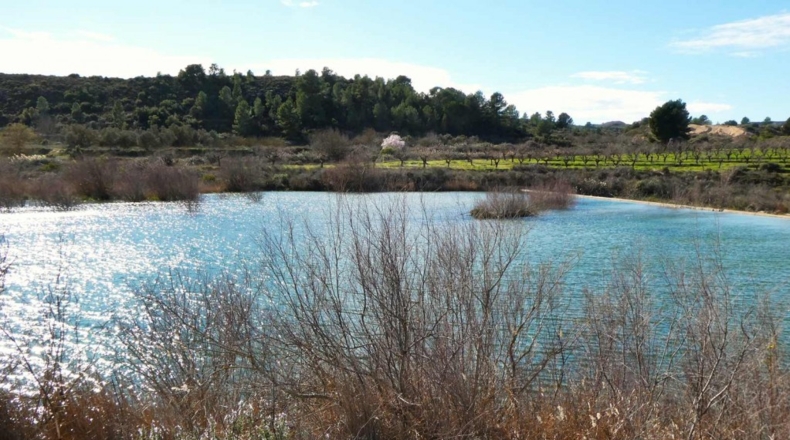 Zaragoza - Fabara - 7000m2