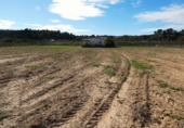 Non-developable land for sale in Fabara ref: TR396162 photo
