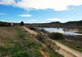 Non-developable land for sale in Fabara ref: TR396162 photo