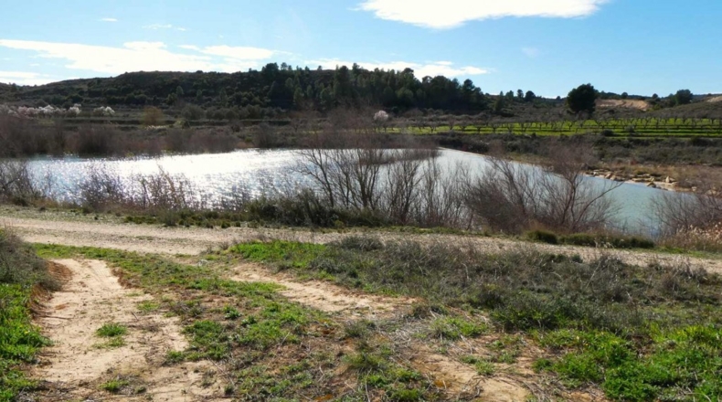 Zaragoza - Fabara - 7000m2