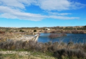 Non-developable land for sale in Fabara ref: TR396162 photo