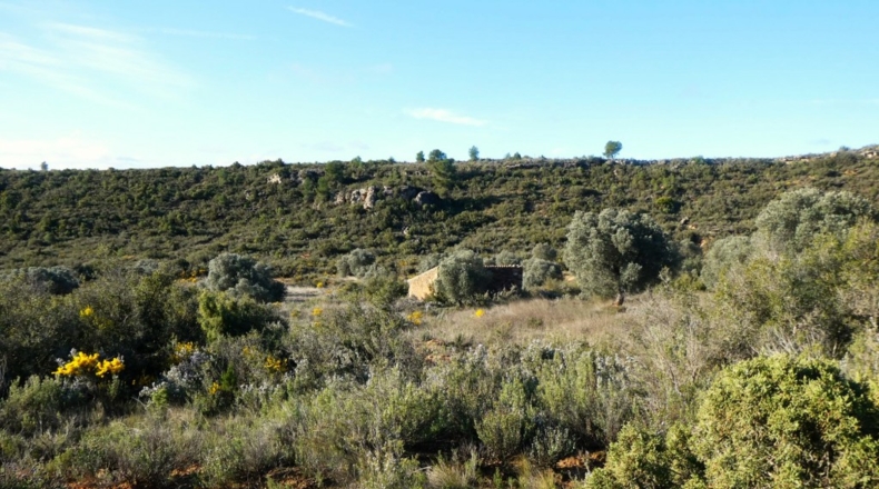 Zaragoza - Fabara - 21200m2