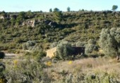 Terreno no urbanizable en venta en Fabara ref: TR396161 foto