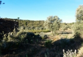 Terreno no urbanizable en venta en Fabara ref: TR396161 foto