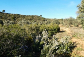 Foto 14