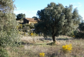 Foto 18