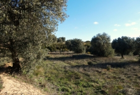 Foto 19