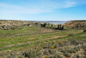 Caspe 53700&nbsp;m²