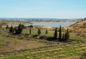 Terreny no urbanitzable en venda a Casp ref.: TR396160 foto