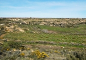 Terreny no urbanitzable en venda a Casp ref.: TR396160 foto