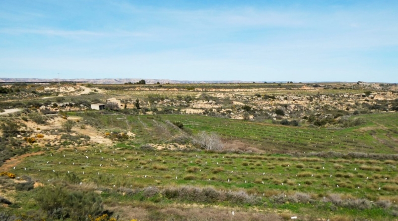 Zaragoza - Casp - 53700m2