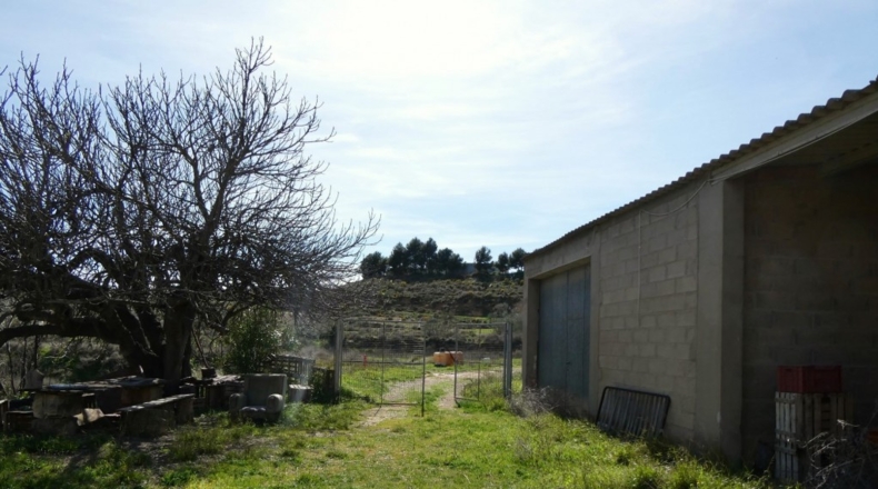 Zaragoza - Casp - 53700m2