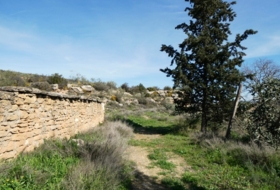 Caspe 53700&nbsp;m²