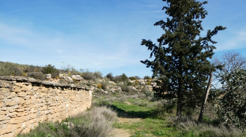 Zaragoza - Casp - 53700m2