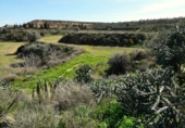 Terreny no urbanitzable en venda a Casp ref.: TR396160 foto