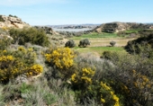 Terreny no urbanitzable en venda a Casp ref.: TR396160 foto