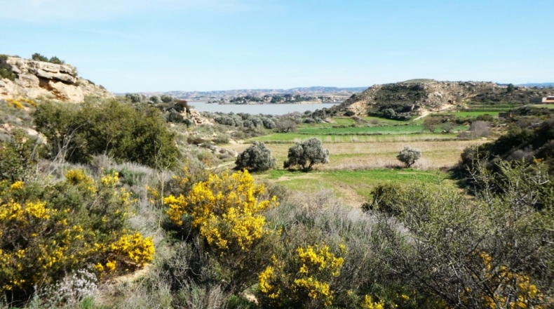 Zaragoza - Casp - 53700m2