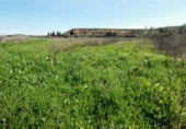 Terreny no urbanitzable en venda a Casp ref.: TR396160 foto