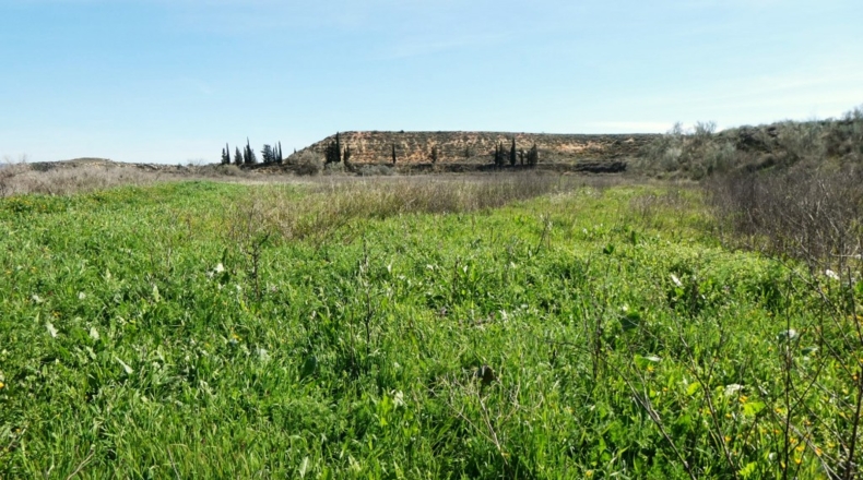 Zaragoza - Casp - 53700m2