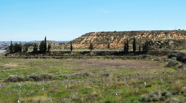Zaragoza - Casp - 53700m2