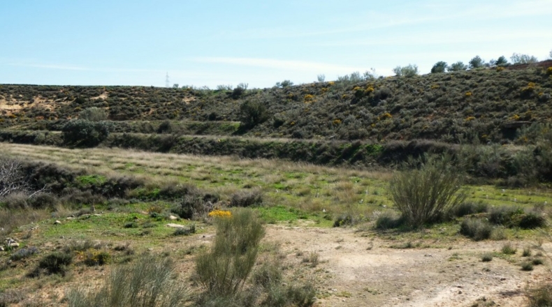 Zaragoza - Casp - 53700m2