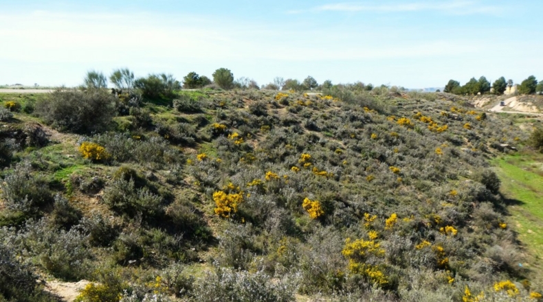 Zaragoza - Casp - 53700m2
