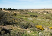 Terreny no urbanitzable en venda a Casp ref.: TR396160 foto