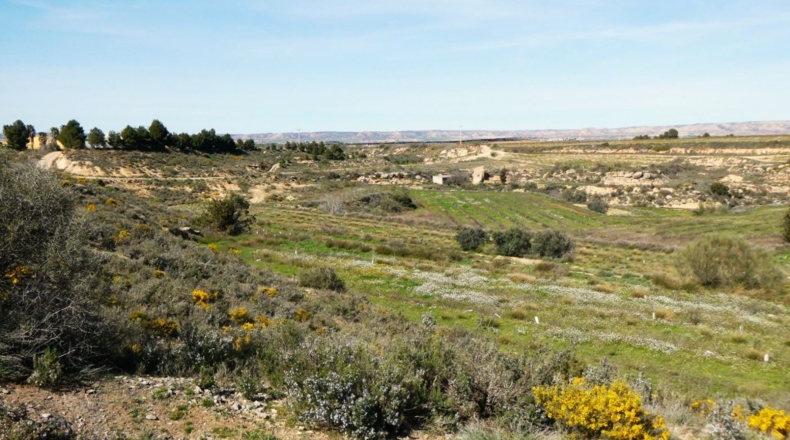 Zaragoza - Casp - 53700m2