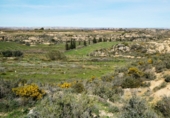 Terreny no urbanitzable en venda a Casp ref.: TR396160 foto