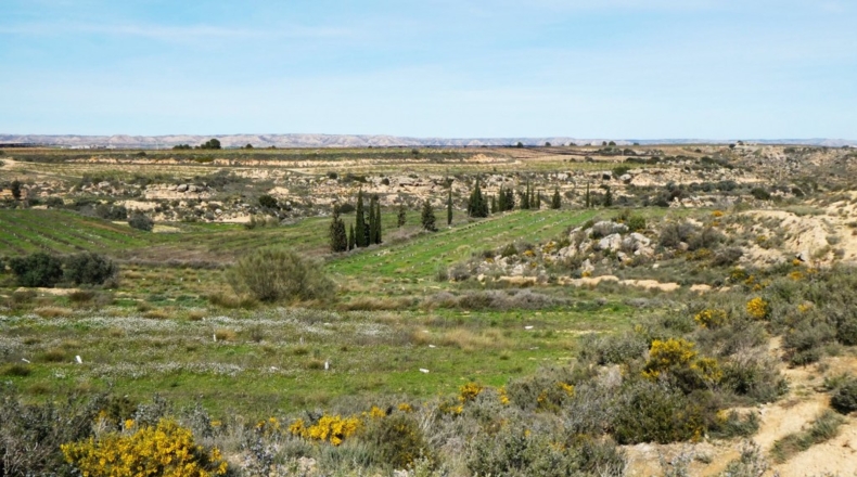 Zaragoza - Casp - 53700m2