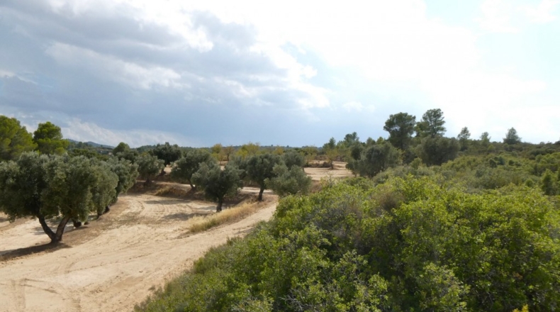 Teruel - Calaceite - 21900m2