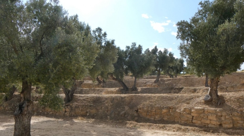 Teruel - Calaceite - 21900m2