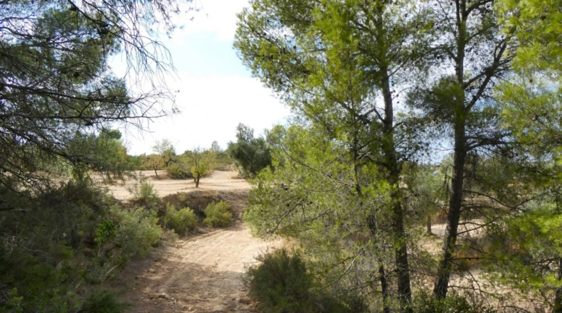 Teruel - Calaceite - 21900m2