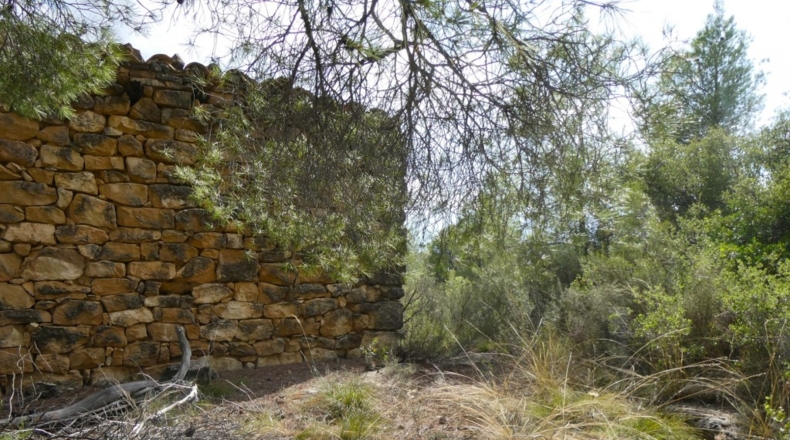 Teruel - Calaceite - 21900m2