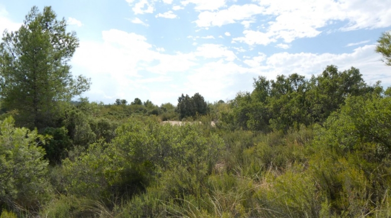 Teruel - Calaceite - 21900m2