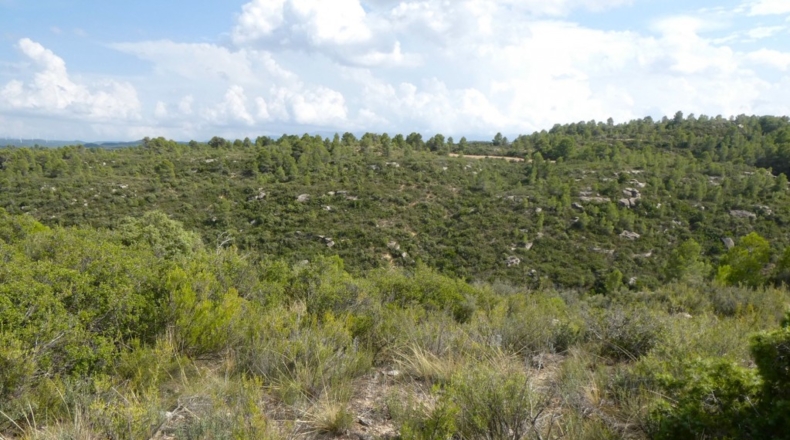 Teruel - Calaceite - 21900m2