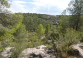 Terreny no urbanitzable en venda a Calaceit ref.: TR396119 foto