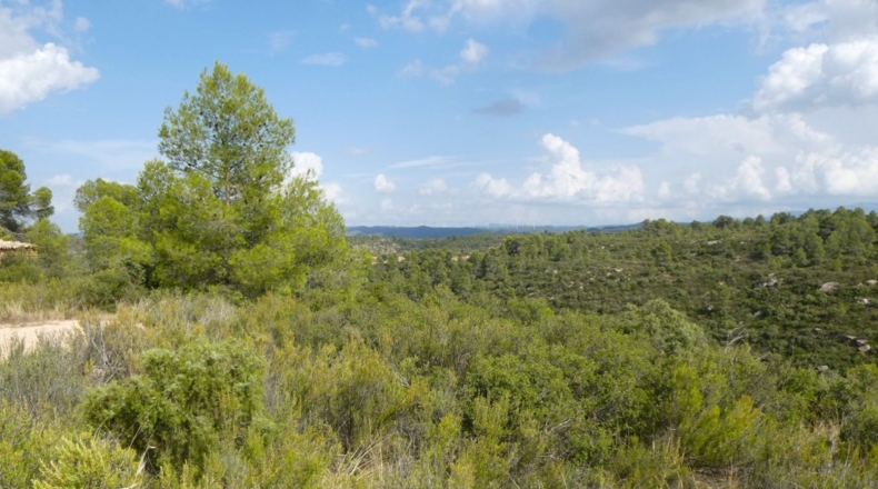 Teruel - Calaceite - 21900m2