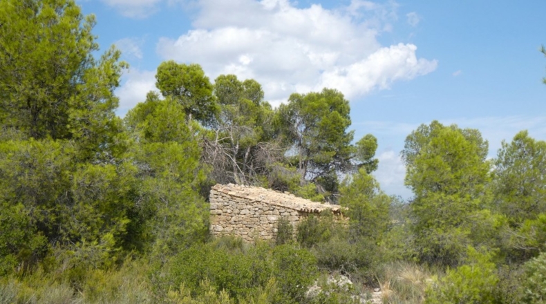 Teruel - Calaceite - 21900m2