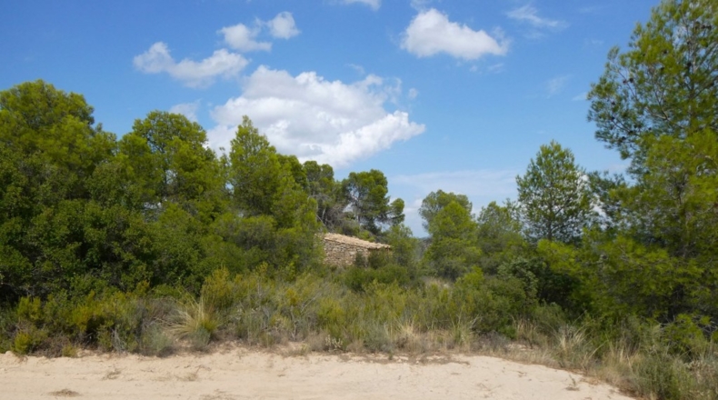 Teruel - Calaceite - 21900m2