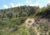 Non-developable land for sale in Maella ref: TR396118 photo