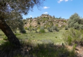 Non-developable land for sale in Maella ref: TR396118 photo