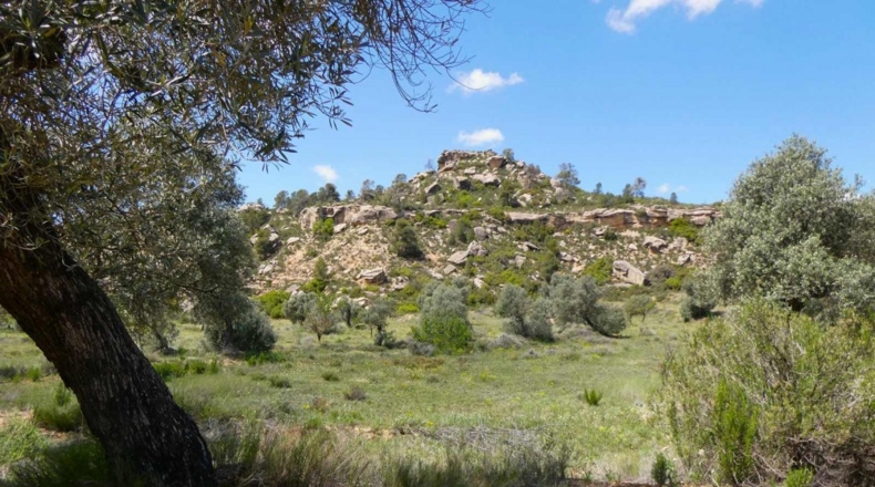 Zaragoza - Maella - 53300m2