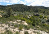 Non-developable land for sale in Maella ref: TR396118 photo